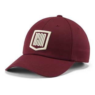 Icon Rad Dad Hat