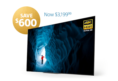 SAVE $600 | 65" Class (64.5" diag.) A8F BRAVIA(R) OLED 4K HDR TV