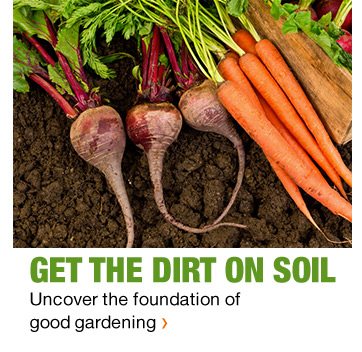 UNCOVER THE FOUNDATION OF GOOD GARDENING