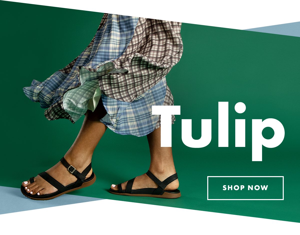 Chaco tulip online