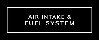 Air Intake & Fuel System