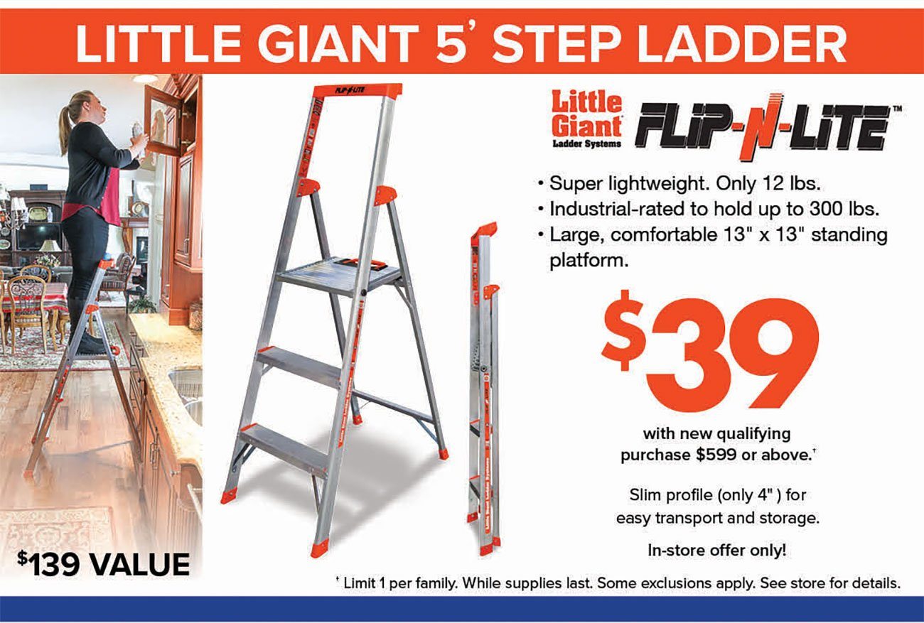 Little-Giant-Ladder-Premium