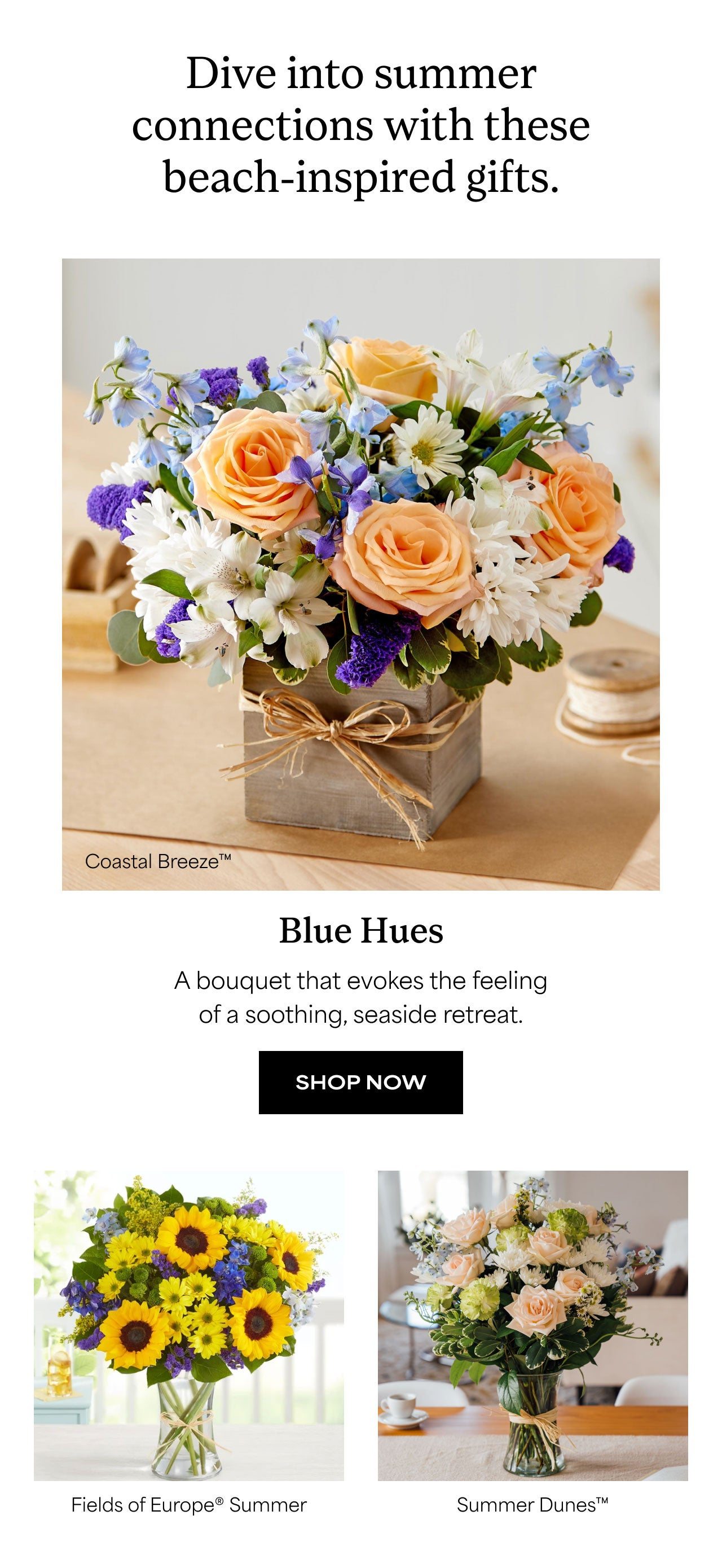 SAVE ON BLUE HUES