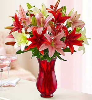Lovely Lilies SHOP NOW
