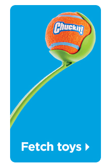 Shop fetch toys >