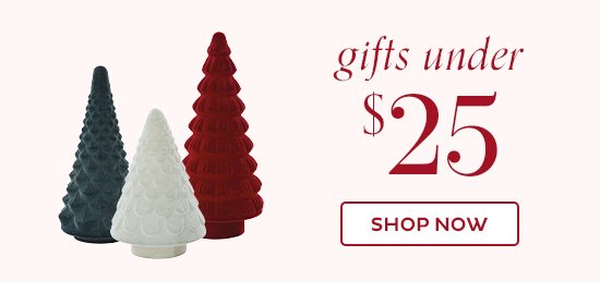 Gifts Under $25 - Shop Now