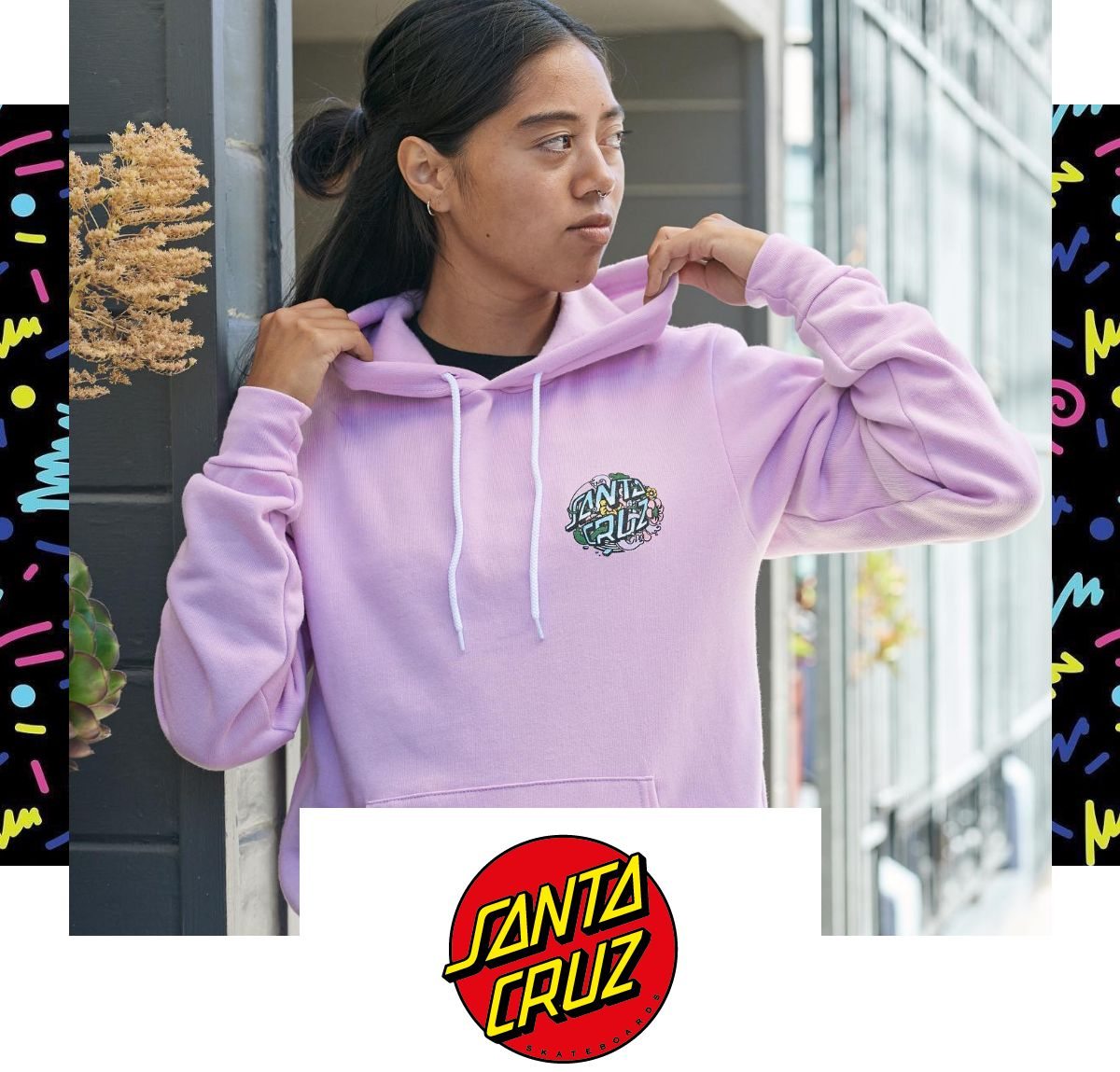 Santa Cruz image