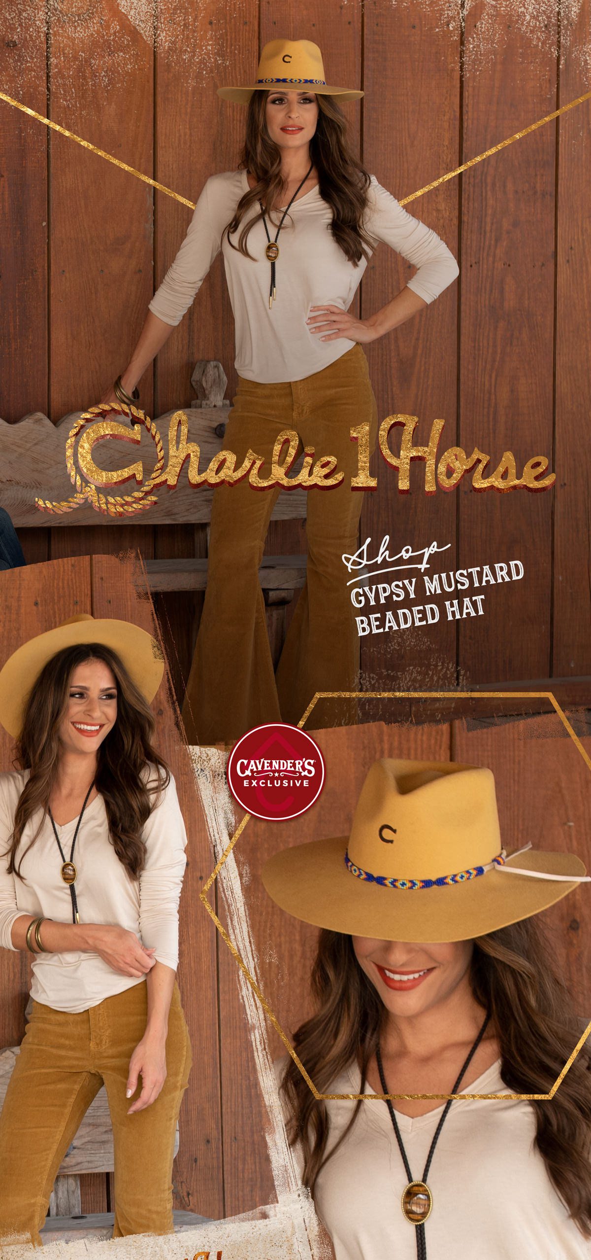 cavender's charlie 1 horse