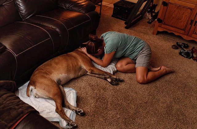 Heartbreaking Photo Series Captures The “Last Moments” Of Beloved Pets