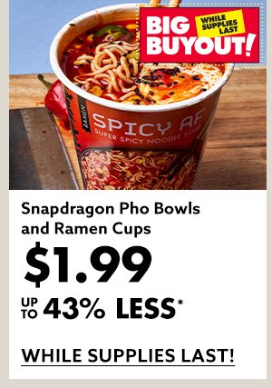 Snapdragon Pho Bowls and Ramen Cups