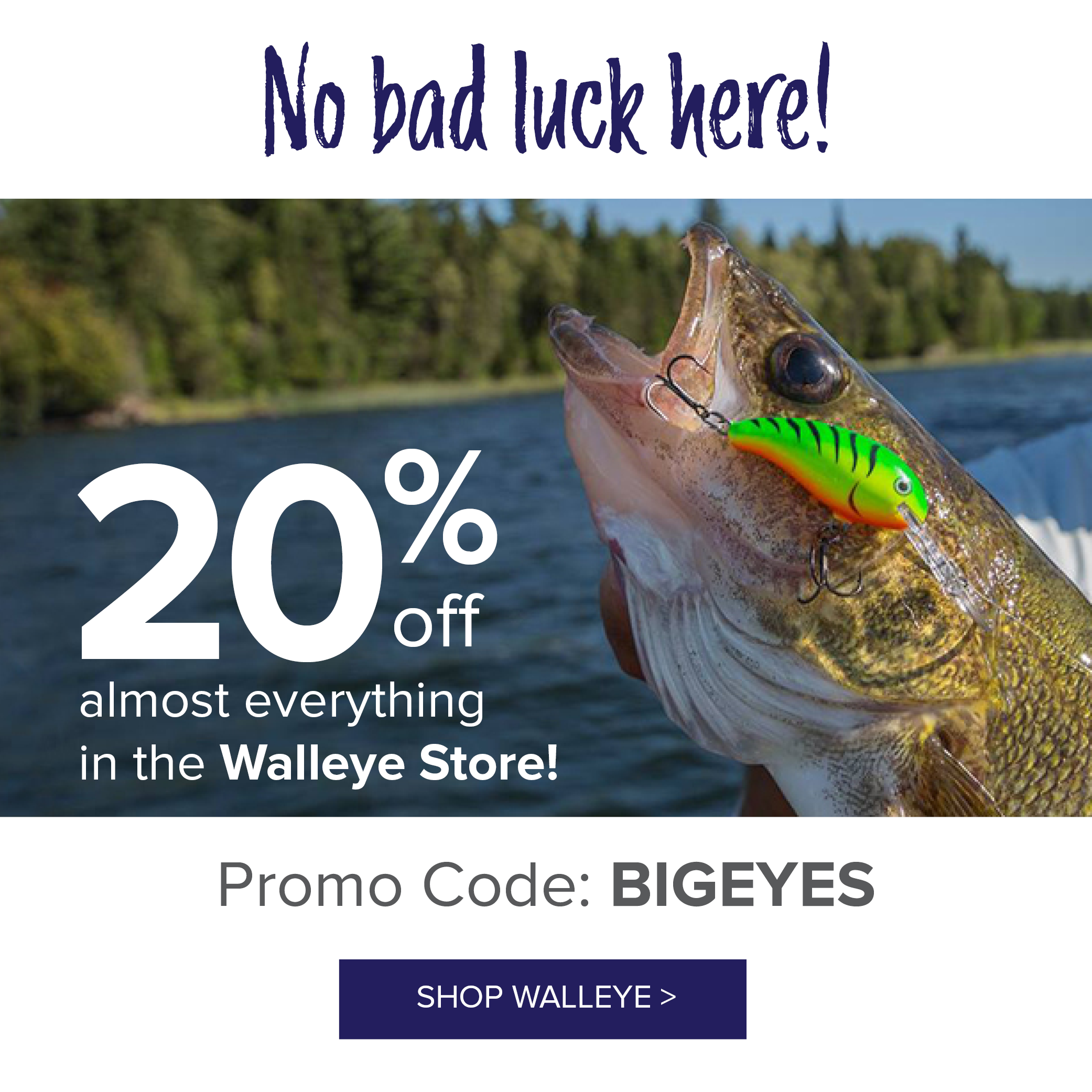 Save 20% off almost everything in the Walleye Store