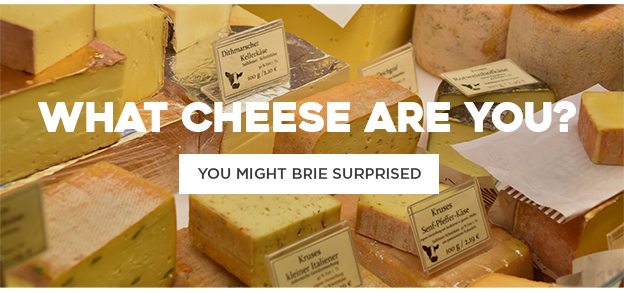 What Cheese Are You?