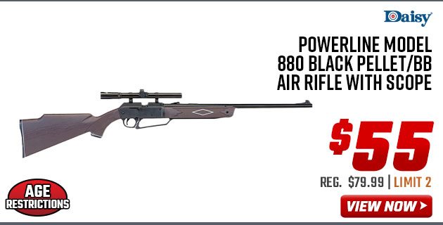 Daisy Powerline Model 880 Black Pellet/BB Air Rifle with Scope