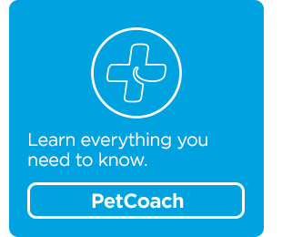 Learn everything you need to know. PetCoach.