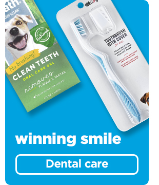 Shop dental care >