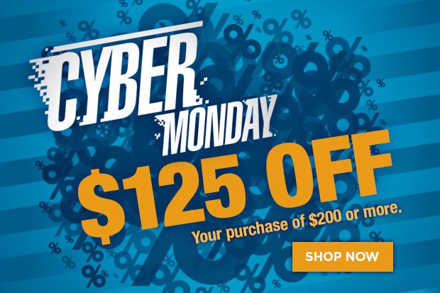 Cyber Monday Savings - $125 off $200!