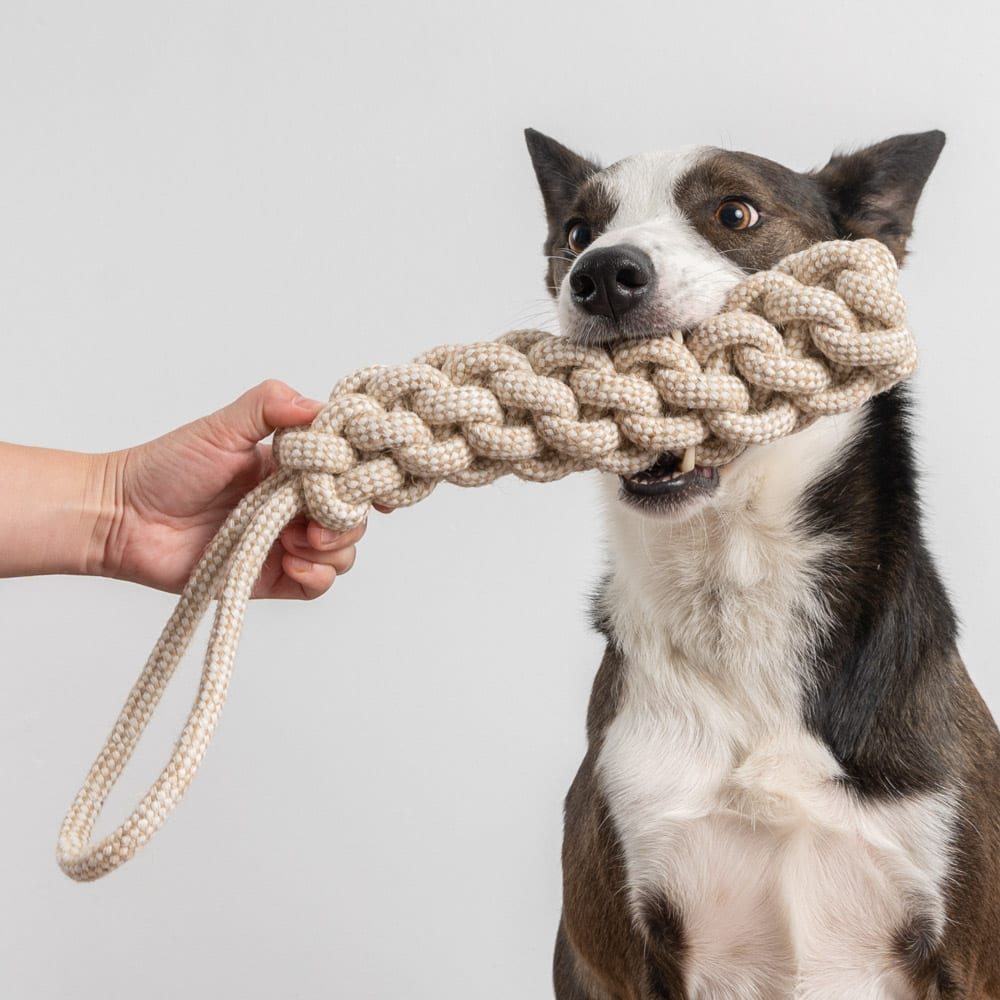 Image of Jumbo Super Durable Game Time Rope Toy