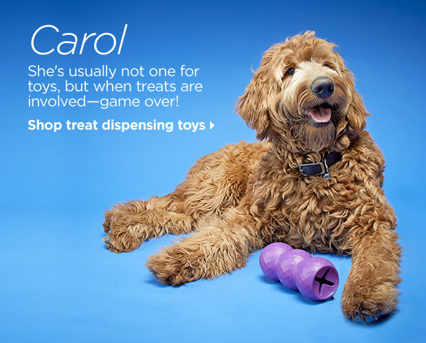 Carol. She's usually not one for toys, but when treats are involved—game over! Shop treat dispensing toys.