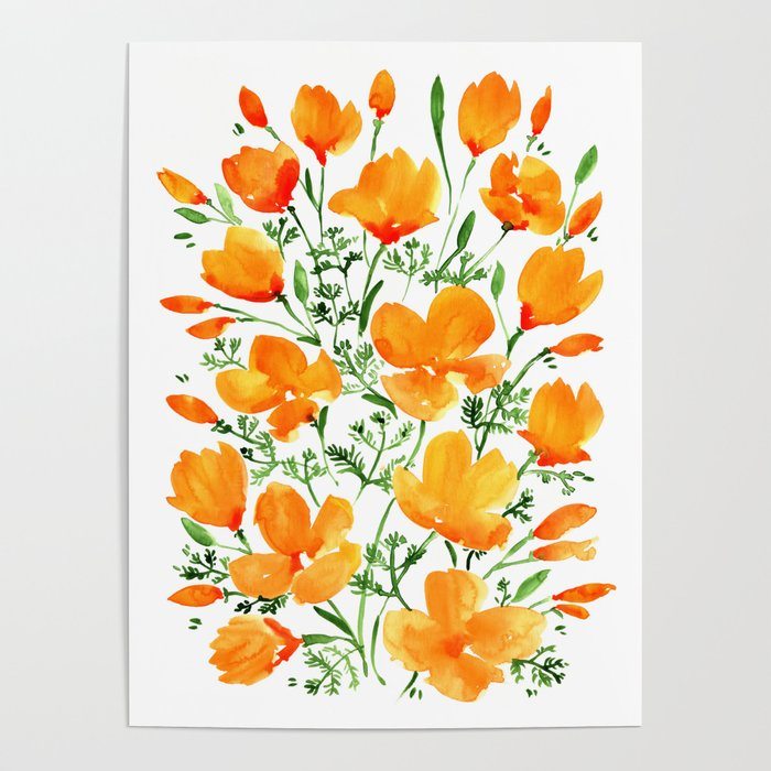 Watercolor California poppies