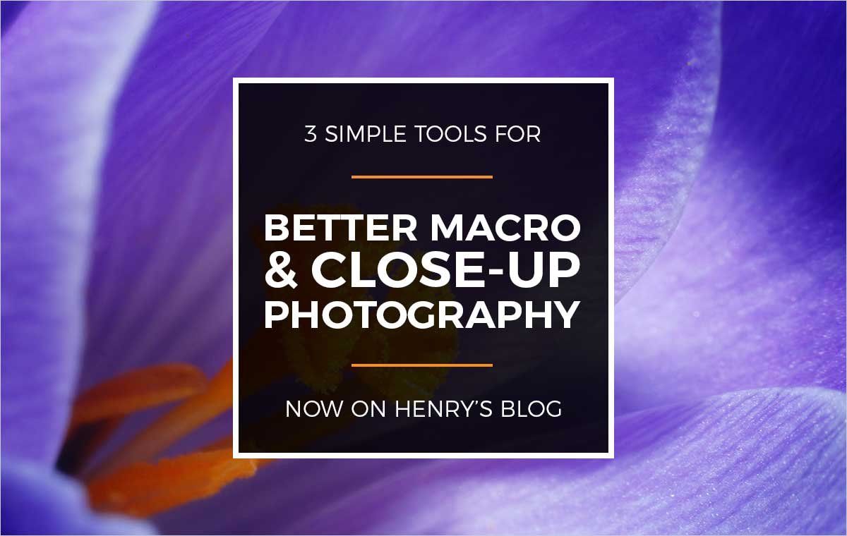 Henry's Blog