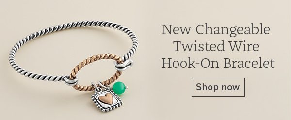 New Changeable Twisted Wire Hook-On Bracelet - Shop now