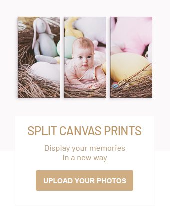 Split Canvas Prints