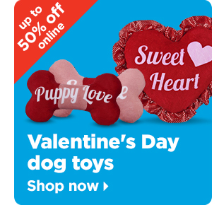 Valentine's Day dog toys >