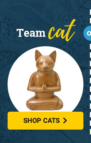 Team cat | SHOP CATS