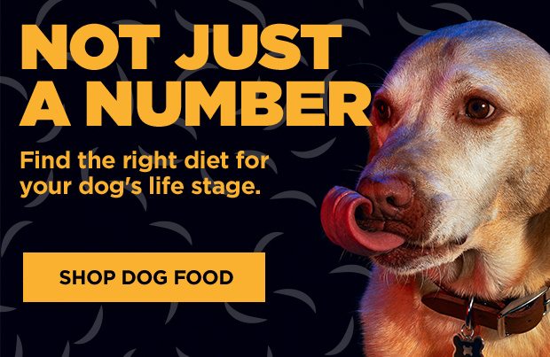 Not just a number. Find the right diet for your dog's life stage. Shop dog food.