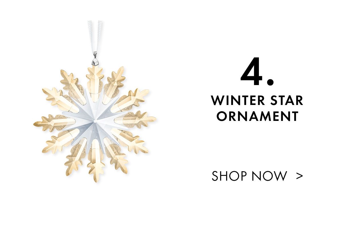 WINTER STAR ORNAMENT