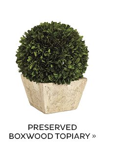 Preserved Boxwood Topiary