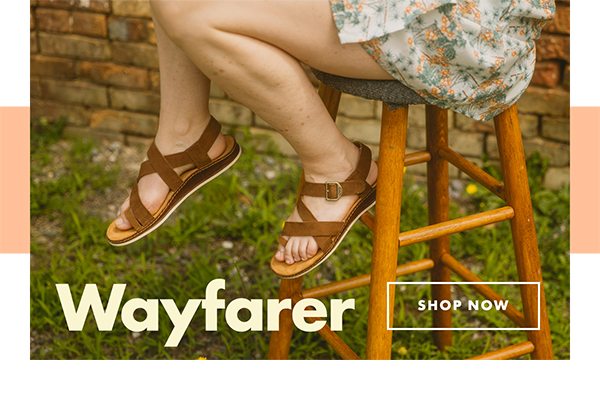 Wayfarer Shop Now