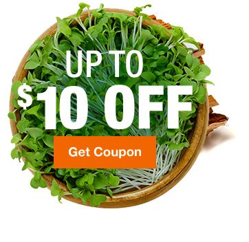 $5 off $50, $10 off $100