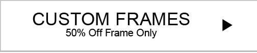 S20_Custom_Frames