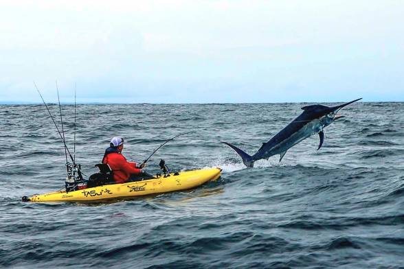 This Angler Lands a 600-Pound Marlin Off The Coast of Panama
