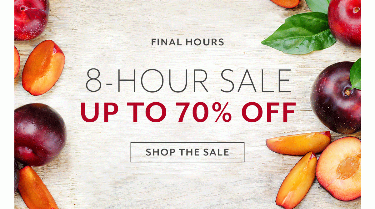 Extended One Day • 8-Hour Sale