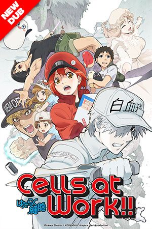 Cells at Work!