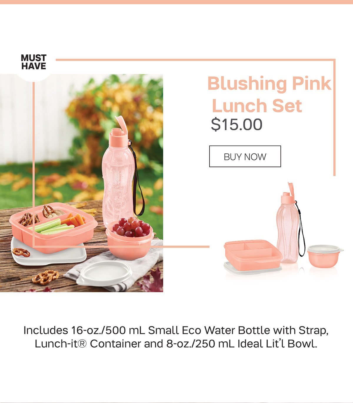 Tupperware Blushing Pink Collection 