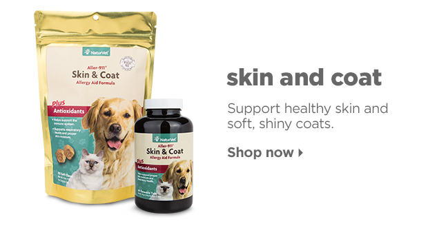 Shop skin and coat supplements >
