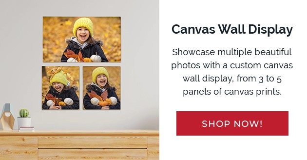 Canvas Wall Display