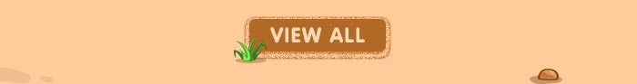 View All