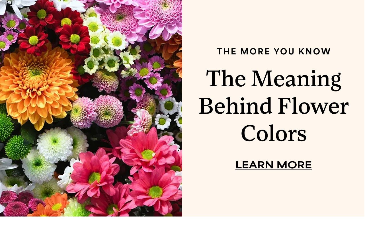 THE MEANING BEHIND FLOWER COLORS