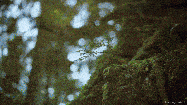 Waterproof jackets - Patagonia film