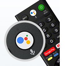 The Google Assistant button