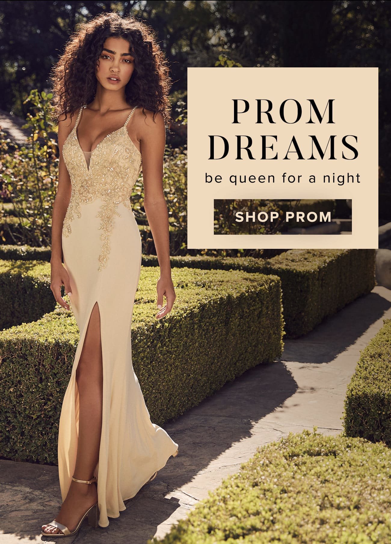 Shop Prom Dresses 