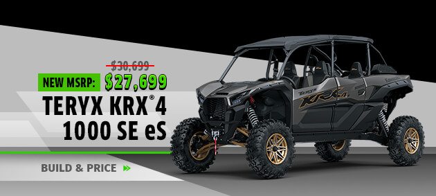 Teryx KRX®4 1000 SE eS