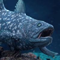 Coelacanth (Pre-Historic Creatures) Statue by Star Ace Toys Ltd.