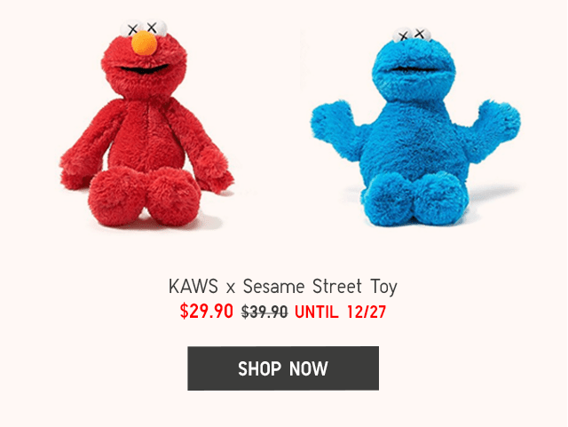 KAWS X SESAME STREET TOY $29.90 - SHOP NOW