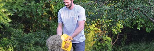 Tidy up those lawns, beds and hardscapes