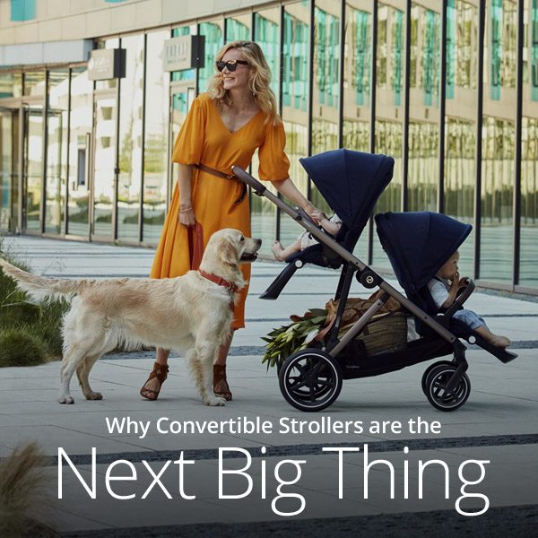 Read Article